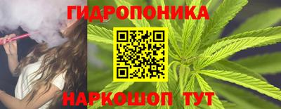 эйфоретик Нальчик