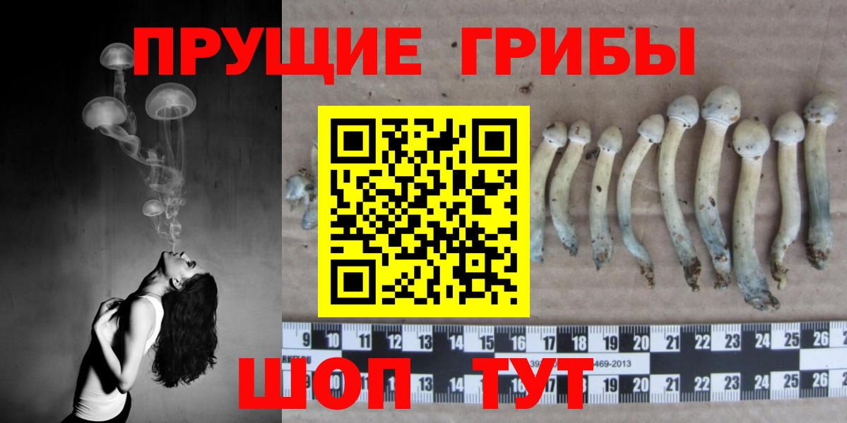 Псилоцибиновые грибы мицелий Севастополь
